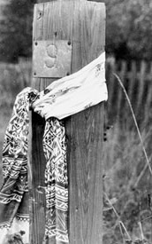 Camp grave site of Vasyl Stus in 1988. Courtesy of the Gulag Museum at Perm-36.